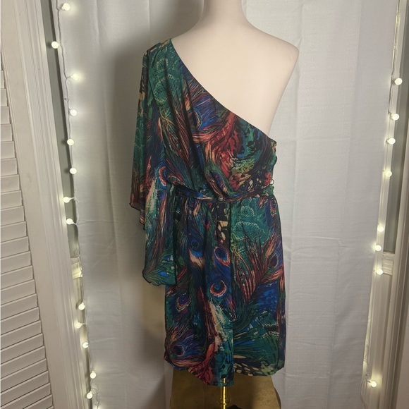 Bisou Bisou One Shoulder Dress - Multicolor - Picture 4 of 8